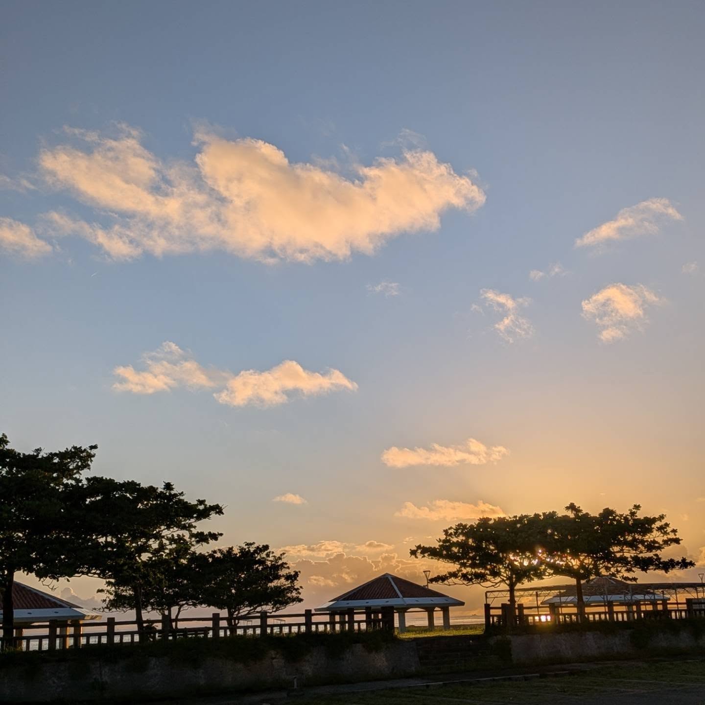 雨上がりの眩しい朝陽☀️本日も6:30オープンです！