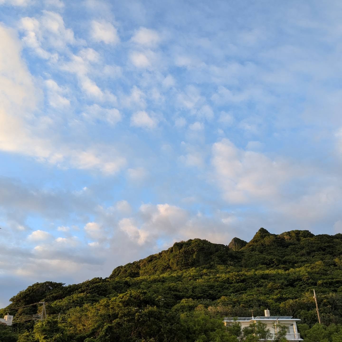 本日は定休日です｜また明日お会いしましょう🥰