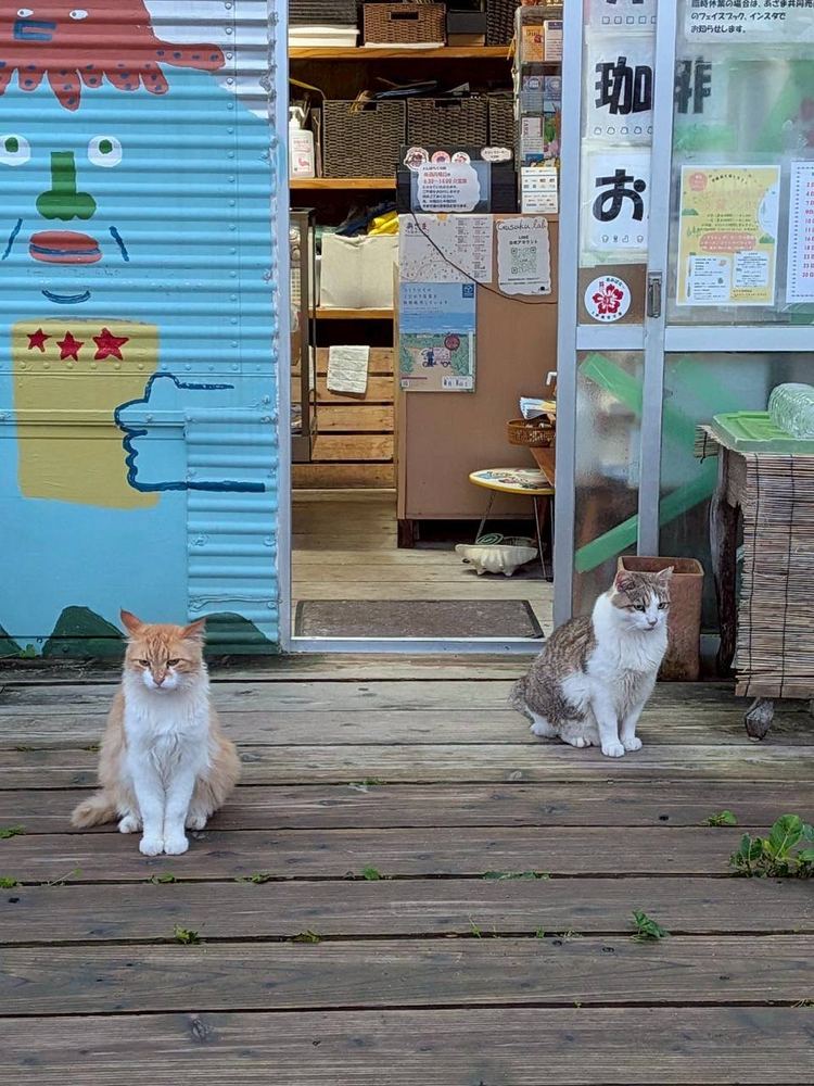 店先に、2匹ならんで