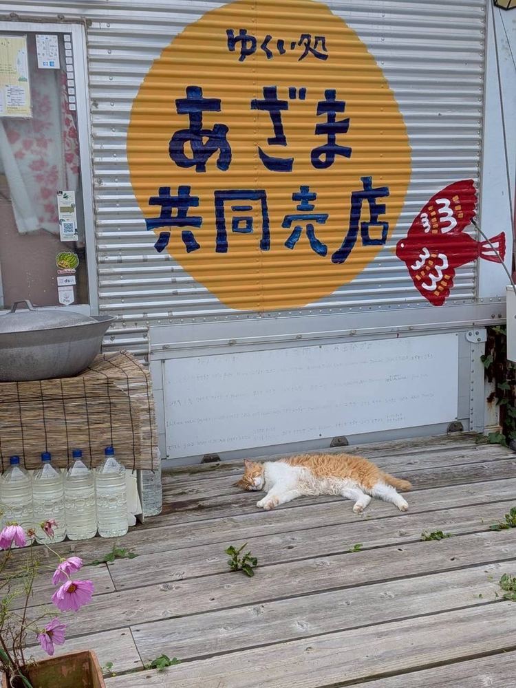 看板の下でひとやすみ