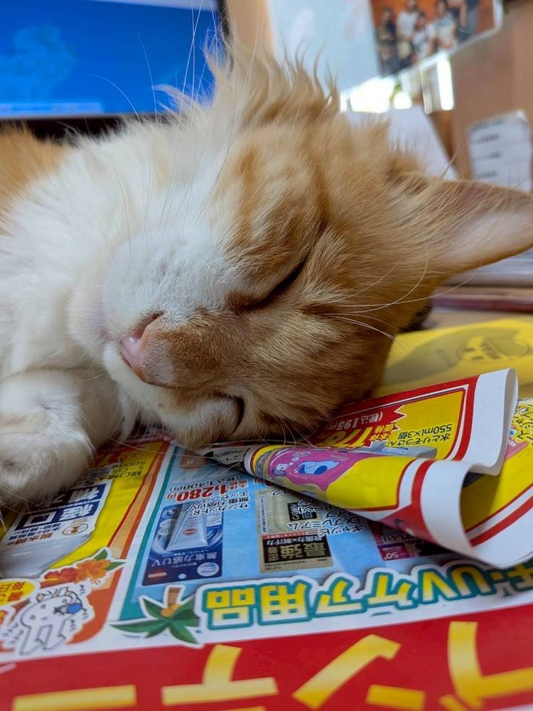 うとうと