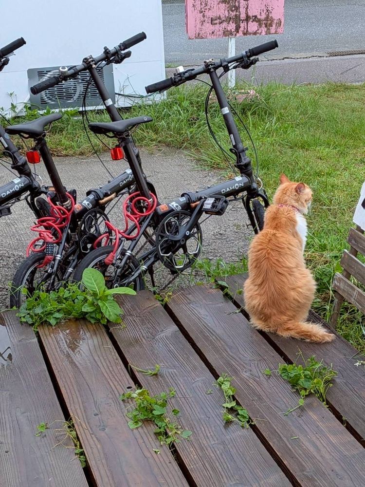 自転車、気になる