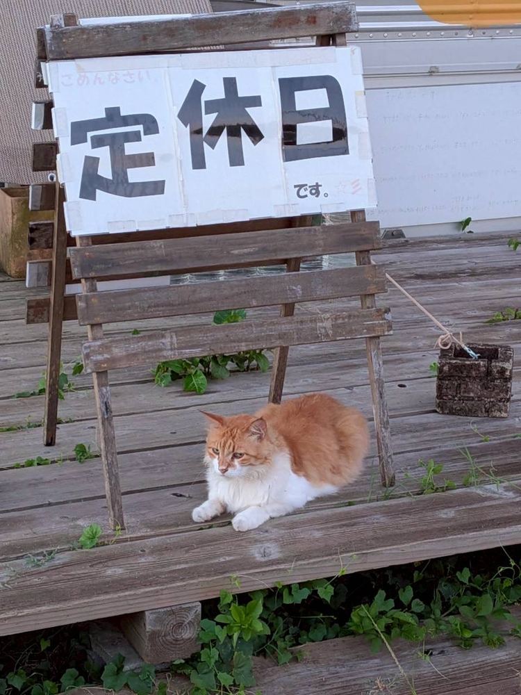 本日、定休日です